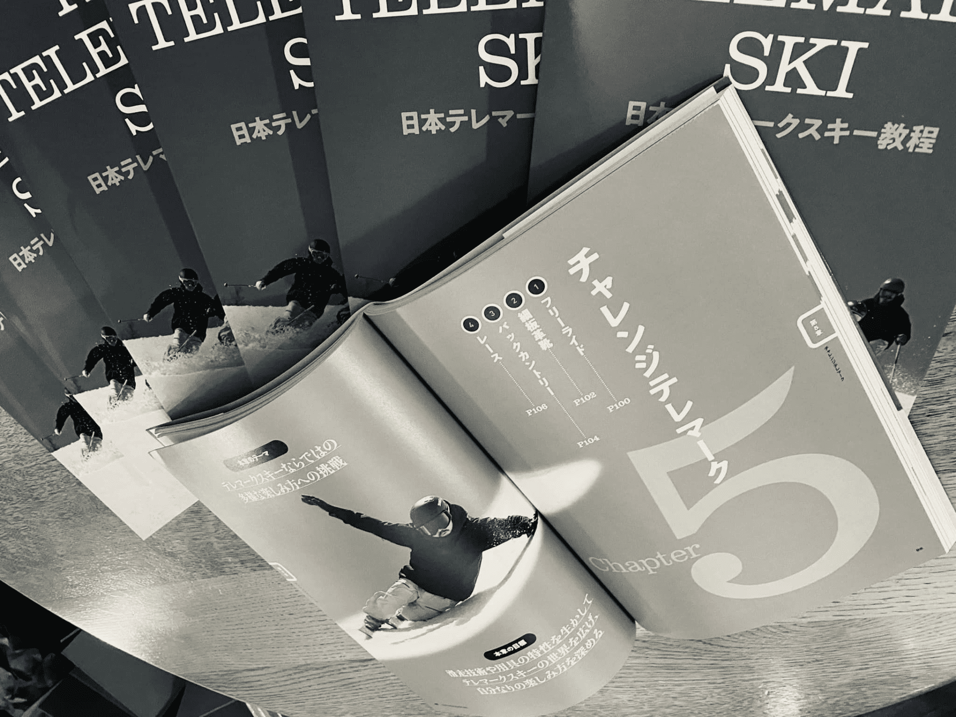 THE TELEMARK SKI book